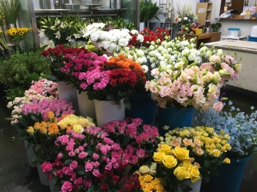 「根田生花店」　（北海道岩見沢市）の花屋店舗写真2